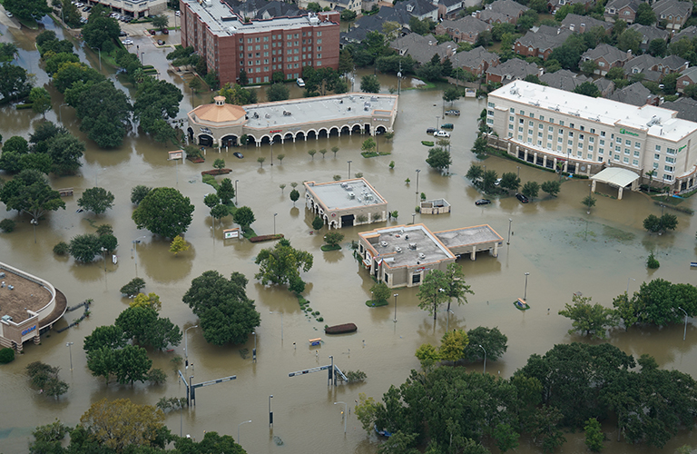 Homepage_News_Blogs_Hurricane Damage