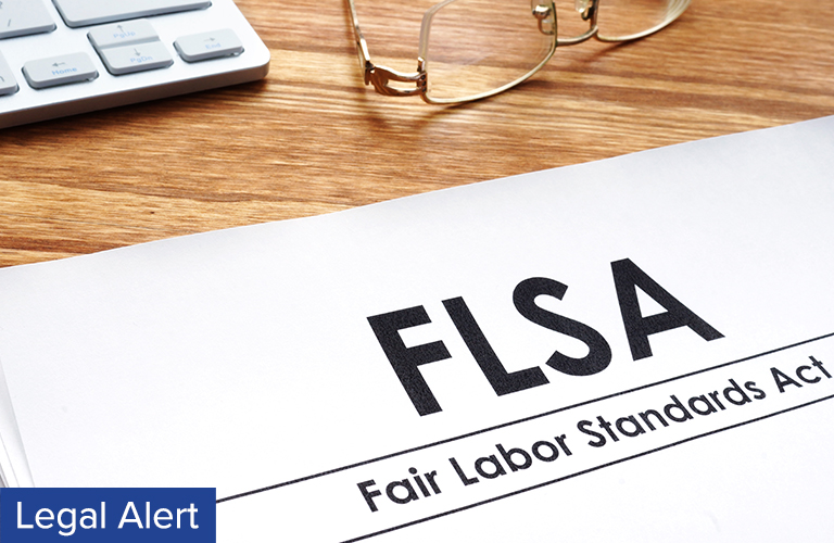 Joint Employer (FLSA)