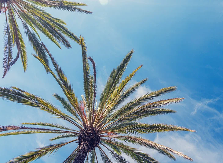 Photo of Los Angeles